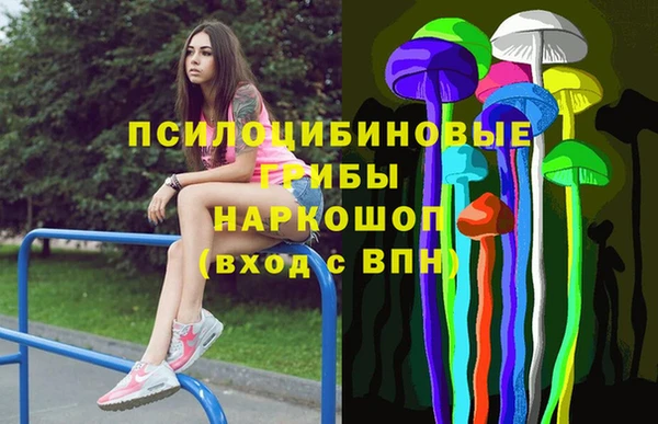 гашик Баксан
