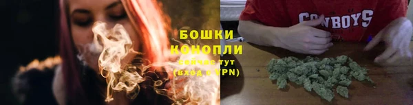 эйфоретик Няндома